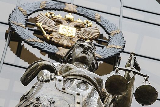 Верховный суд России ликвидировал партию «Добрых дел»