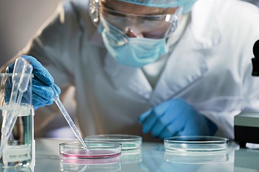 Российские ученые изучат связь между микробиотой ЖКТ и когнитивными функциями