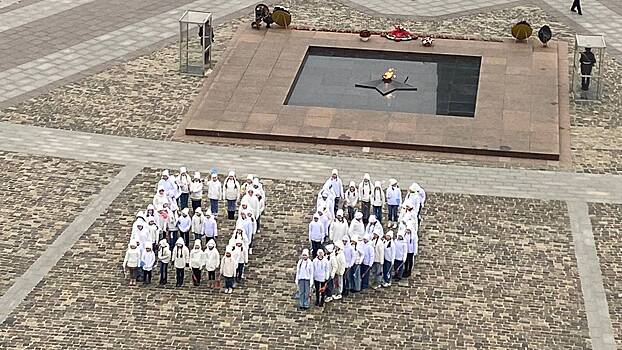 Около 100 волонтеров стали участниками патриотического флешмоба у стен Музея Победы