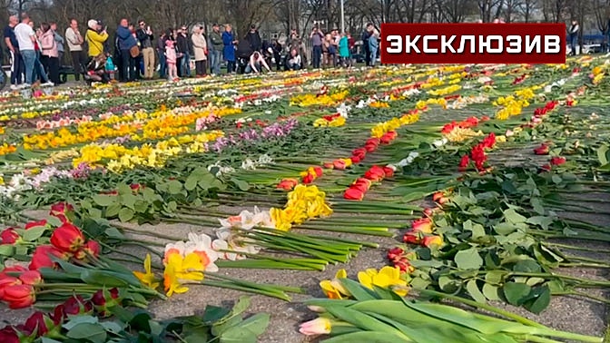 Мажор авто новая рига