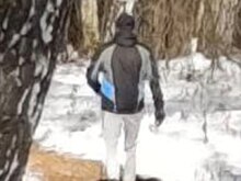 Опасный маньяк-живодер жестоко избивает собак в новосибирском микрорайоне Шлюз