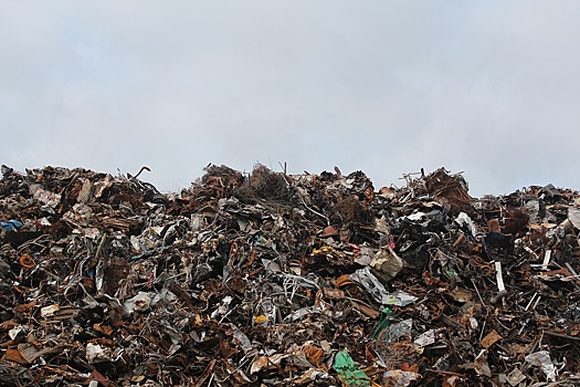 Возбуждено первое уголовное дело из-за огромных свалок мусора на окраинах Краснодара