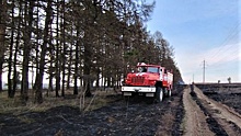 На большей части территории Подмосковья ожидается I класс пожарной опасности в выходные