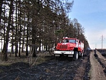 На большей части территории Подмосковья ожидается I класс пожарной опасности в выходные