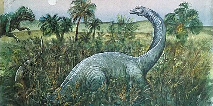 В Дарвиновском музее 20 января откроют выставку «Динозавры у тебя дома»