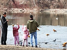 Депутат выдвинул отелям ряд требований