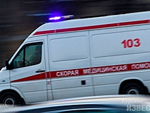 В Курской области автомобилистка опрокинулась на «Пежо», пострадали дети