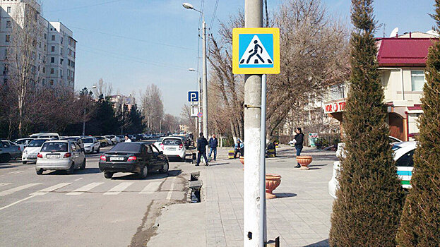 Сотрудники УБДД в этом году оштрафовали более 500 пешеходов