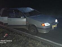 В Рязанской области ВАЗ сбил лося, пострадала 13-летняя девочка