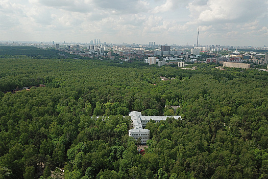 Москвички пожаловались на «лосиноостровского» маньяка