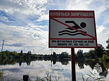 В карьере в Воткинском районе утонул 18-летний парень из Пермского края