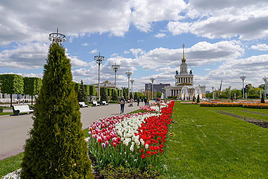 «Ориентир на здоровье»: в Москве пройдет цикл оздоровительно-просветительских прогулок