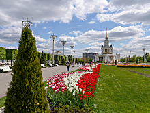 «Ориентир на здоровье»: в Москве пройдет цикл оздоровительно-просветительских прогулок