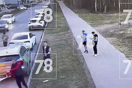 В Петербурге на видео попало, как вспыхнула припаркованная иномарка