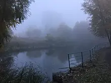 Густой туман опустится на Самарскую область ночью и утром 17 сентября