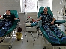 Сотрудники волгоградской колонии первыми сдали кровь накануне Дня донора