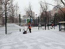 Традиционный обход территории в Марьиной роще состоится 8 февраля