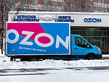 74.ru: в Челябинске водитель Ozon сбил пенсионерку и отделался условным сроком