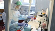 На Ставрополье выявили десять новых случаев заражения коронавирусом