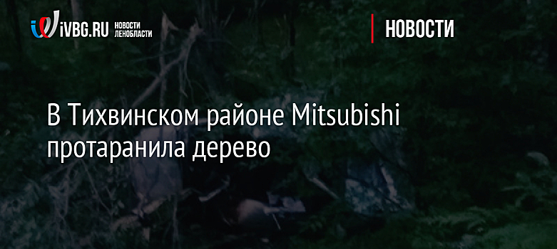 В Тихвинском районе Mitsubishi протаранила дерево