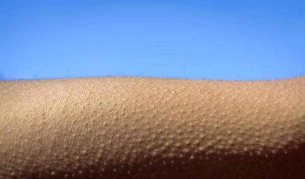 Найдена цепочка нейронов, связанная с реакцией кожи на прохладу