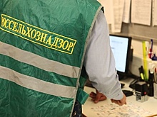 Россельхознадзор в Подмосковье задержал 48 тонн мытой овечьей шерсти из Германии