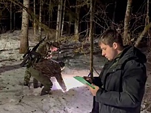 В Приморском крае тигр растерзал лесничего
