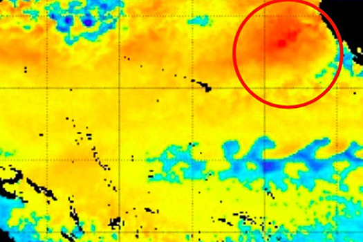 В Тихом океане заметили гигантскую «каплю»-убийцу