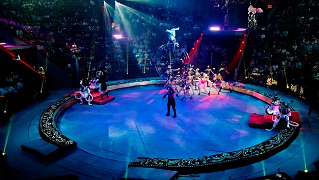 Секрет пяти манежей: как Большой московский цирк переносит зрителей в разные миры