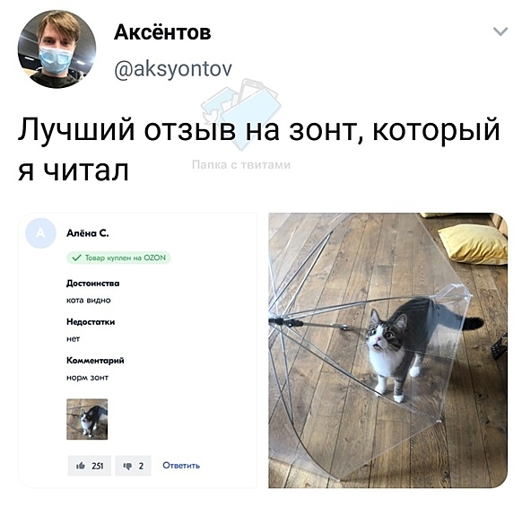 Главное, чтобы кота было видно.