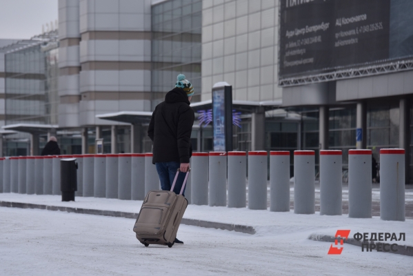 В Новосибирске из-за африканского вируса усилили контроль в аэропорту