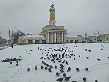 Новый логотип появился у Костромы