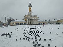 Правительство похвалило Костромскую область за чистую воду и безопасные дороги