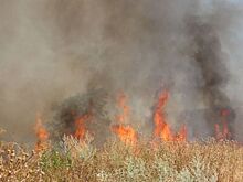 На Северной окраине Батайска потушили крупный пожар
