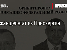В Ленобласти задержали депутата за хищение 11 млн рублей