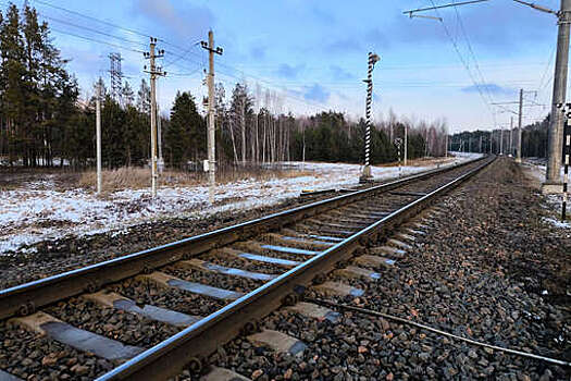 На севере Японии приостановили движение поездов по ряду линий из-за землетрясения