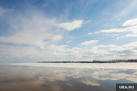 В Оби и Иртыше не нашли условно чистую воду в 2023 году