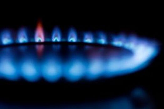 Как снизить долги предприятий за газ обсудили в Псковской области