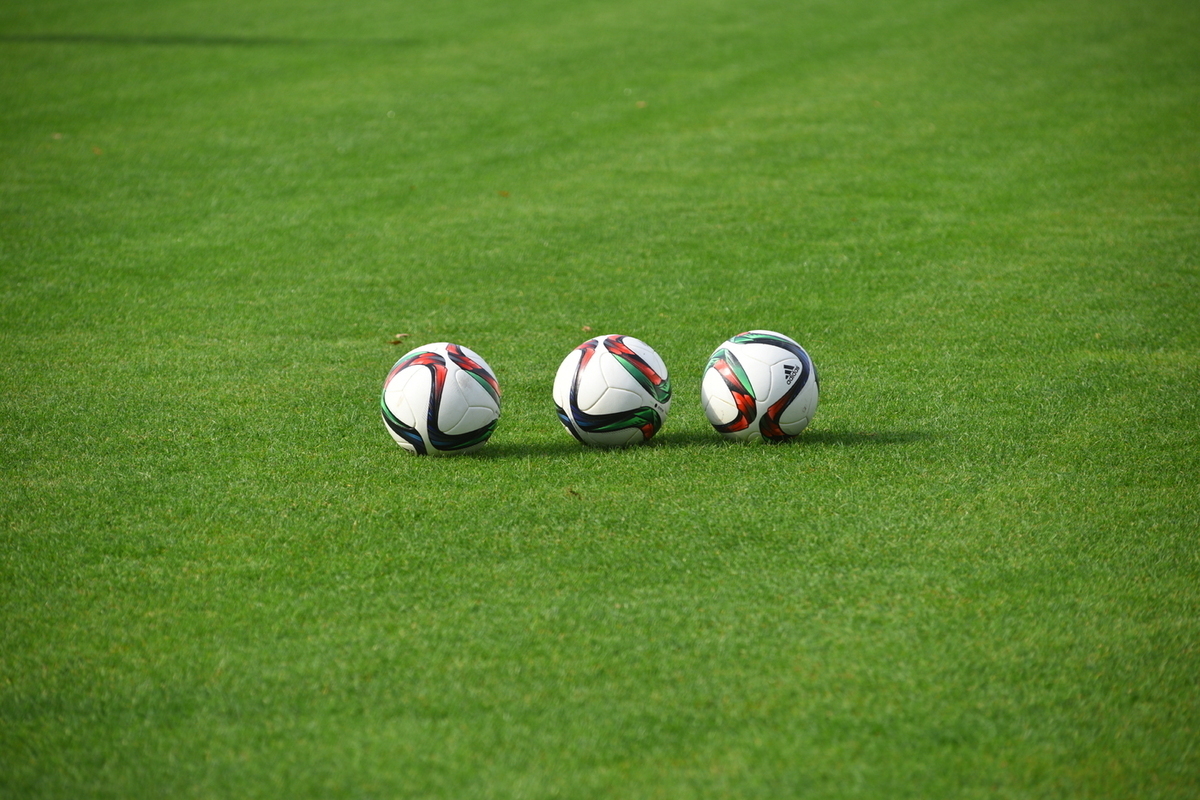 Футбольного судью арестовали за взятку в 2 млн рублей