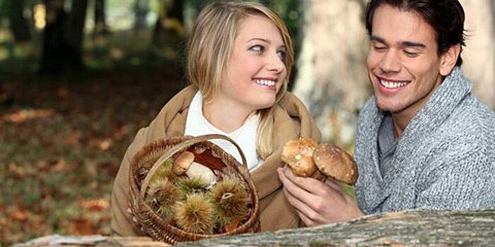 Как собирать грибы в Подмосковье и не отравиться