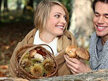 Как собирать грибы в Подмосковье и не отравиться