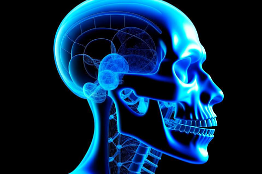 Российские врачи закрыли дефекты черепа с помощью 3D-моделирования