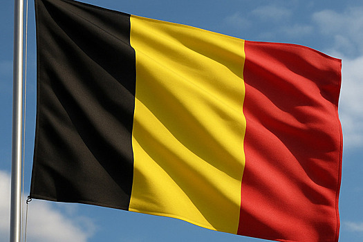 В Бельгии назвали риторику Зеленского неприкрытым вымогательством