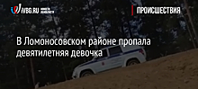 В Ломоносовском районе пропала девятилетняя девочка