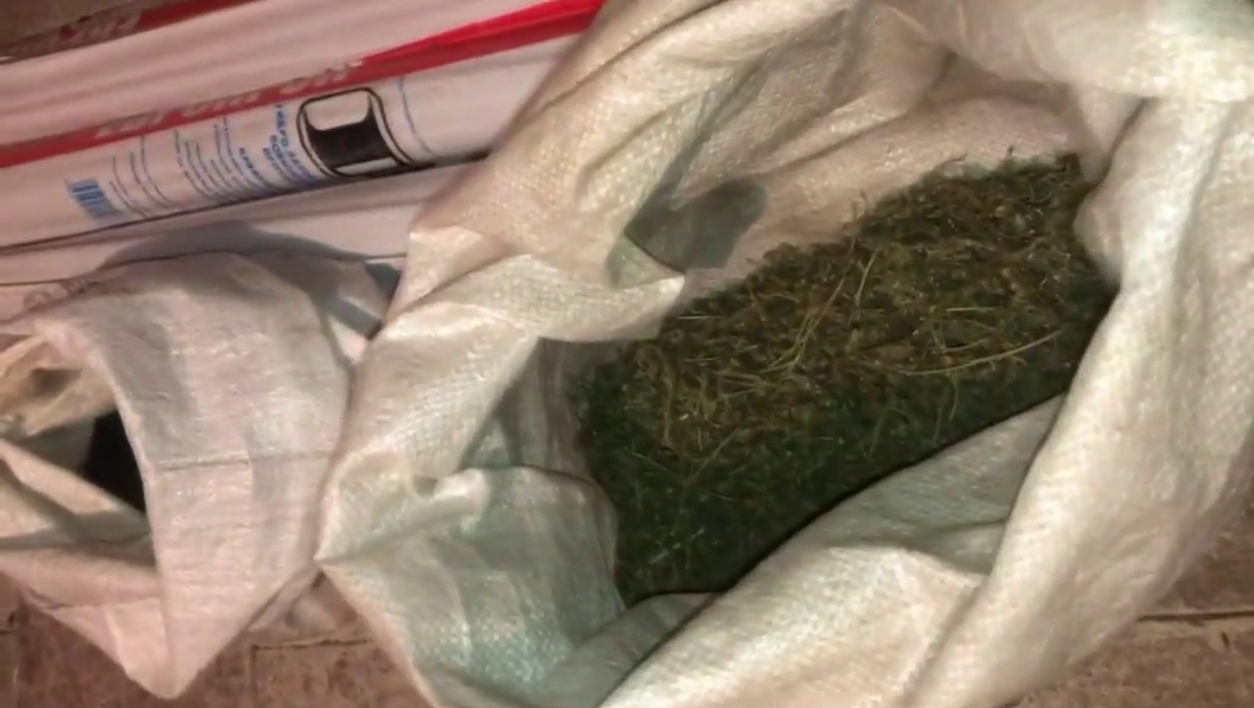 Полицейские привлекли к уголовной ответственности жителя Мордовии, хранившего 4 мешка с марихуаной