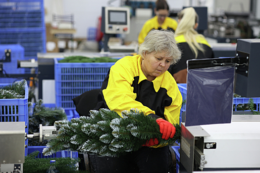 Специалисты рассказали, как выбрать безопасную новогоднюю елку