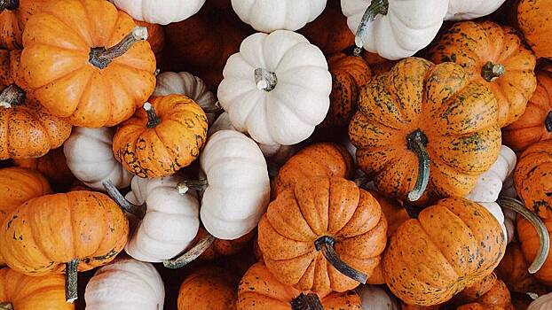 Гастроэнтеролог назвала важные для пожилых продукты