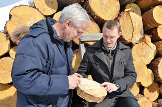 Почему власти не могут запретить рубки леса у Телецкого озера на Алтае