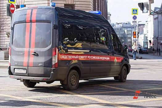 Карьер челябинского депутата проверит главный следователь России