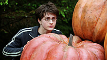 Спустя девять лет Дэниэл Рэдклифф все-таки согласился вернуться к роли Гарри Поттера. В новом проекте к нему присоединится Дэвид Бекхэм